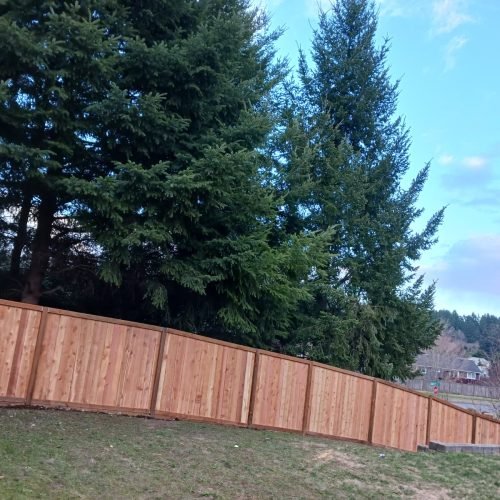 IMG-20251103-WA0241