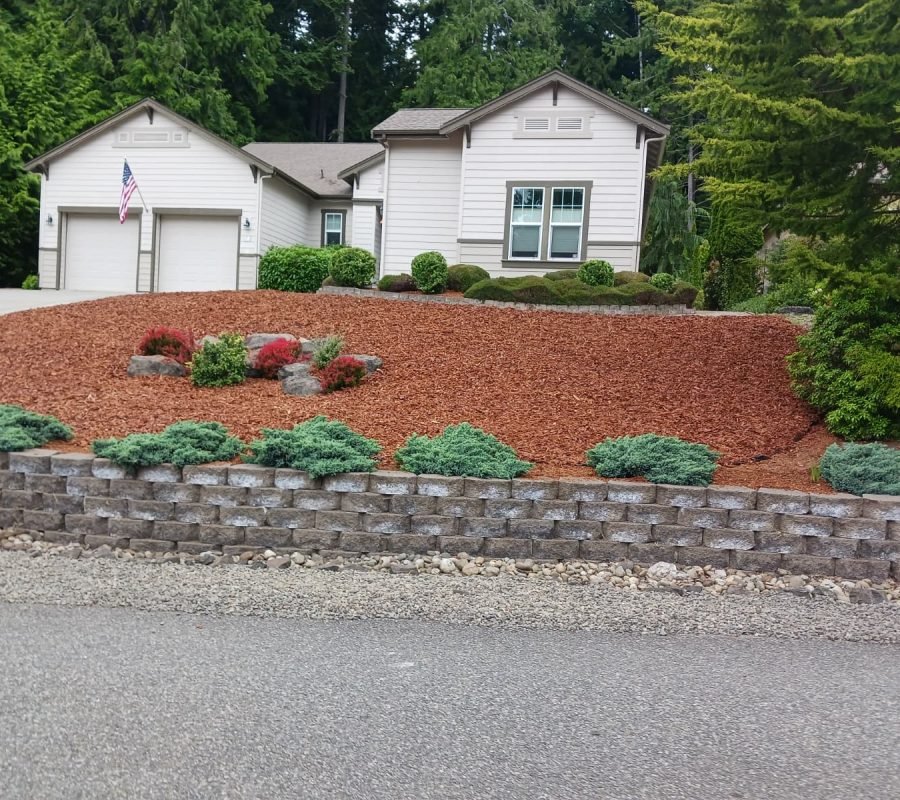 IMG-20251103-WA0359
